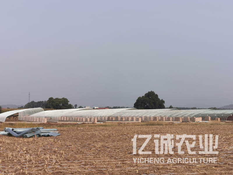 一畝溫室大棚造價多少錢？溫室建設(shè)成本