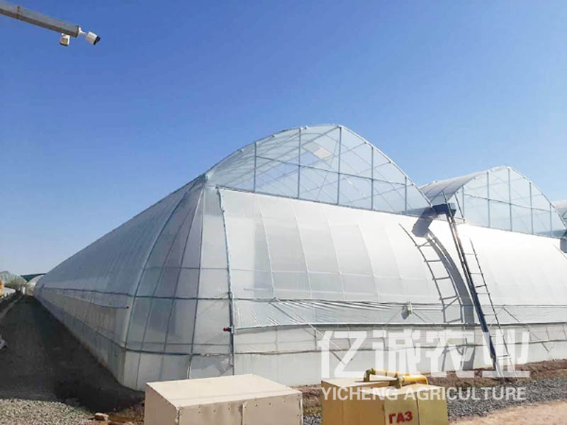 新型溫室大棚一畝造價多少？溫室大棚建設(shè)廠家報價