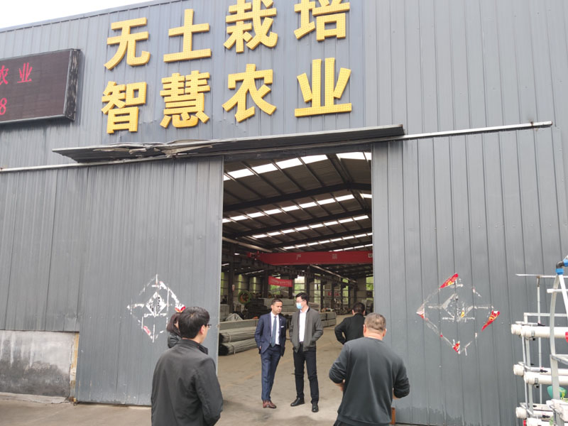 智能溫室大棚廠(chǎng)家