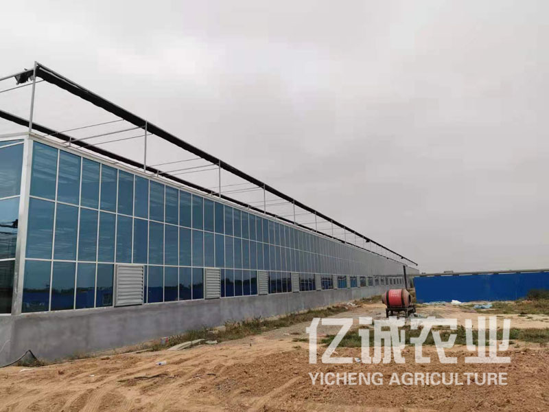 青州連棟智能溫室報(bào)價(jià)低，廠家云集，建設(shè)經(jīng)驗(yàn)豐富