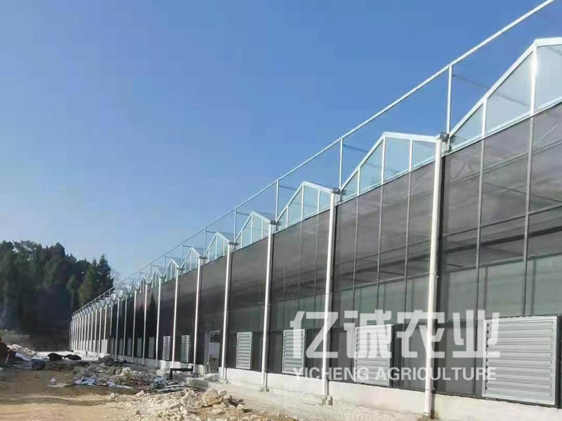 建溫室大棚需要多少錢(qián)？連棟溫室工程造價(jià)