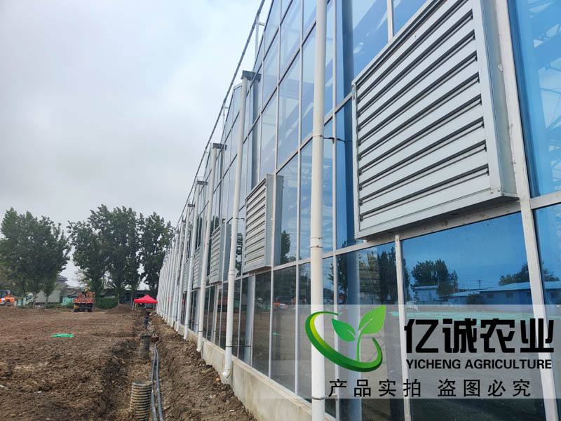 現(xiàn)代化智能溫室大棚建設應用于蔬菜種植產(chǎn)量高，可使收獲期提前