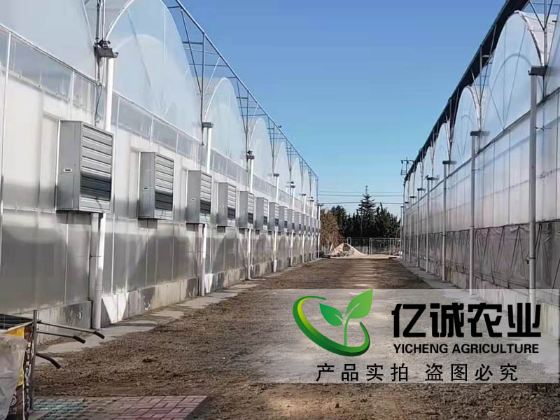 玻璃和薄膜連棟溫室大棚在種植蔬菜前對(duì)土壤有要求嗎？