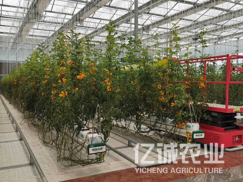 青州溫室大棚建設(shè)哪家好？