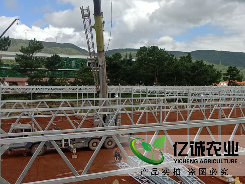 建一畝地溫室大棚多錢？