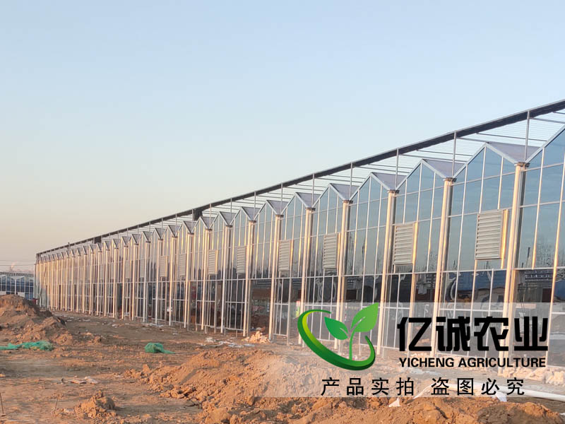 建一畝地溫室大棚多錢？用什么材料比較好？
