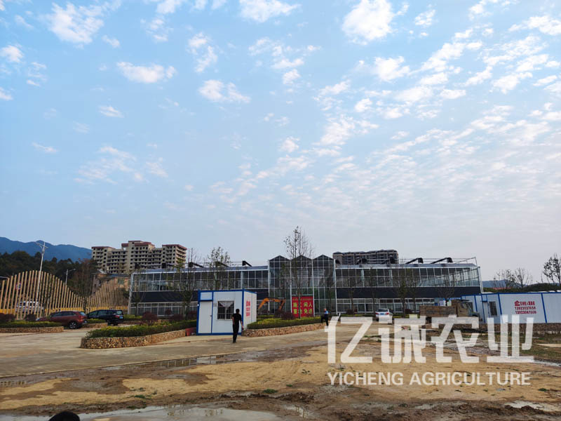 現(xiàn)代化連棟溫室大棚建設(shè)有補貼嗎？連溫室大棚造價多少一畝