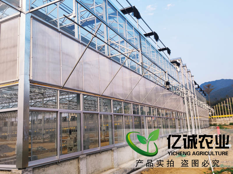 玻璃溫室大棚造價多少錢一畝？玻璃連棟溫室大棚價格高不高？