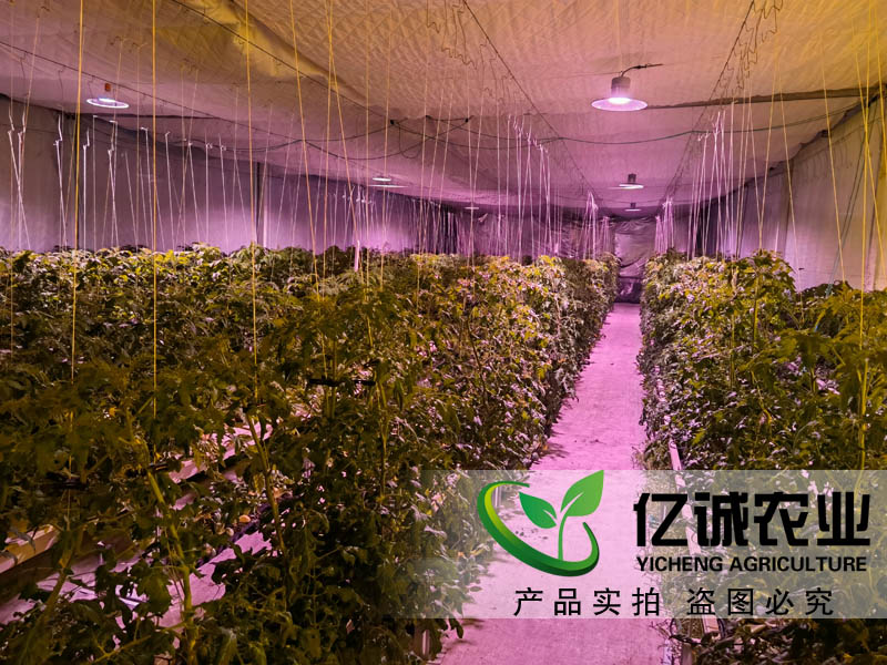 蔬菜大棚造價是如何計算的？