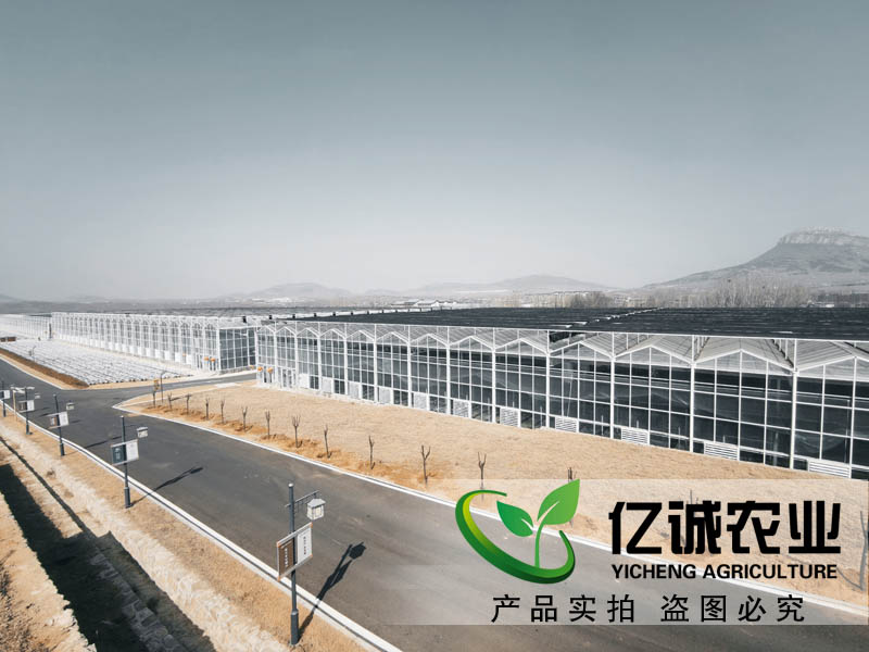 連棟溫室大棚水槽內(nèi)為什么會(huì)積水？億誠教您這樣做