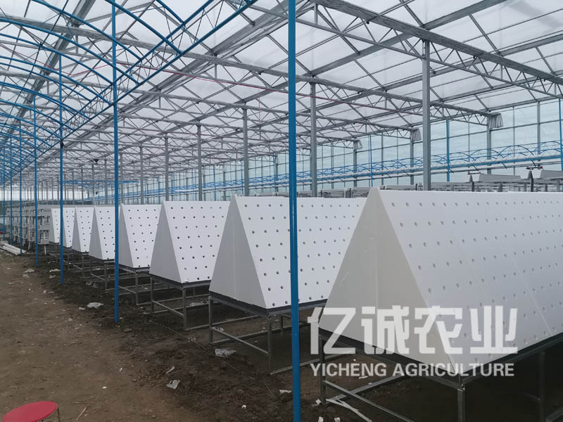 薯類作物的溫室大棚怎么建設(shè)？造價(jià)高不高？